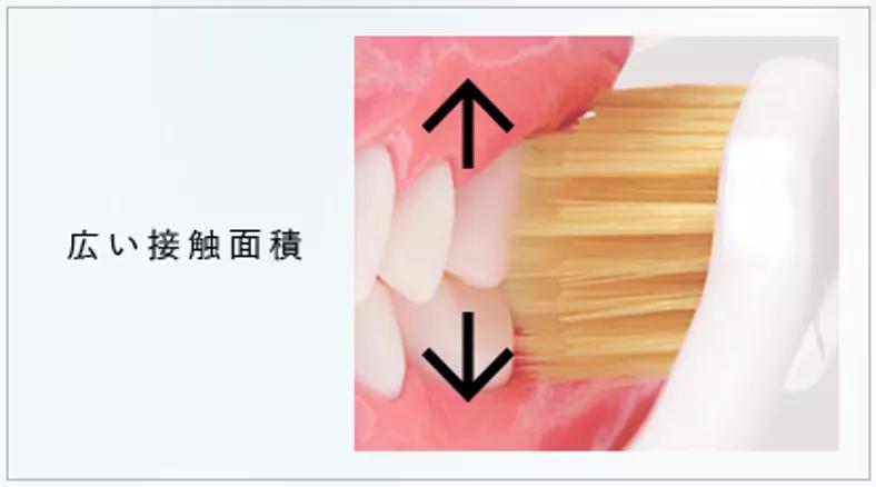 124年，祖孙三代人，死磕一把牙刷，年售6000万支