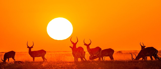 乌干达富不富裕,乌干达有多富