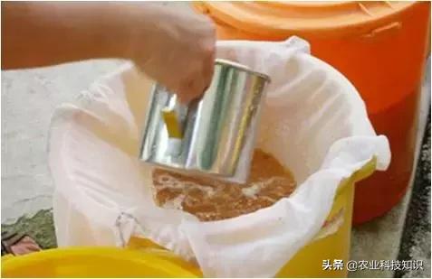 酵素制作,让厨余垃圾零废弃,秒变环保达人,内附制作方法