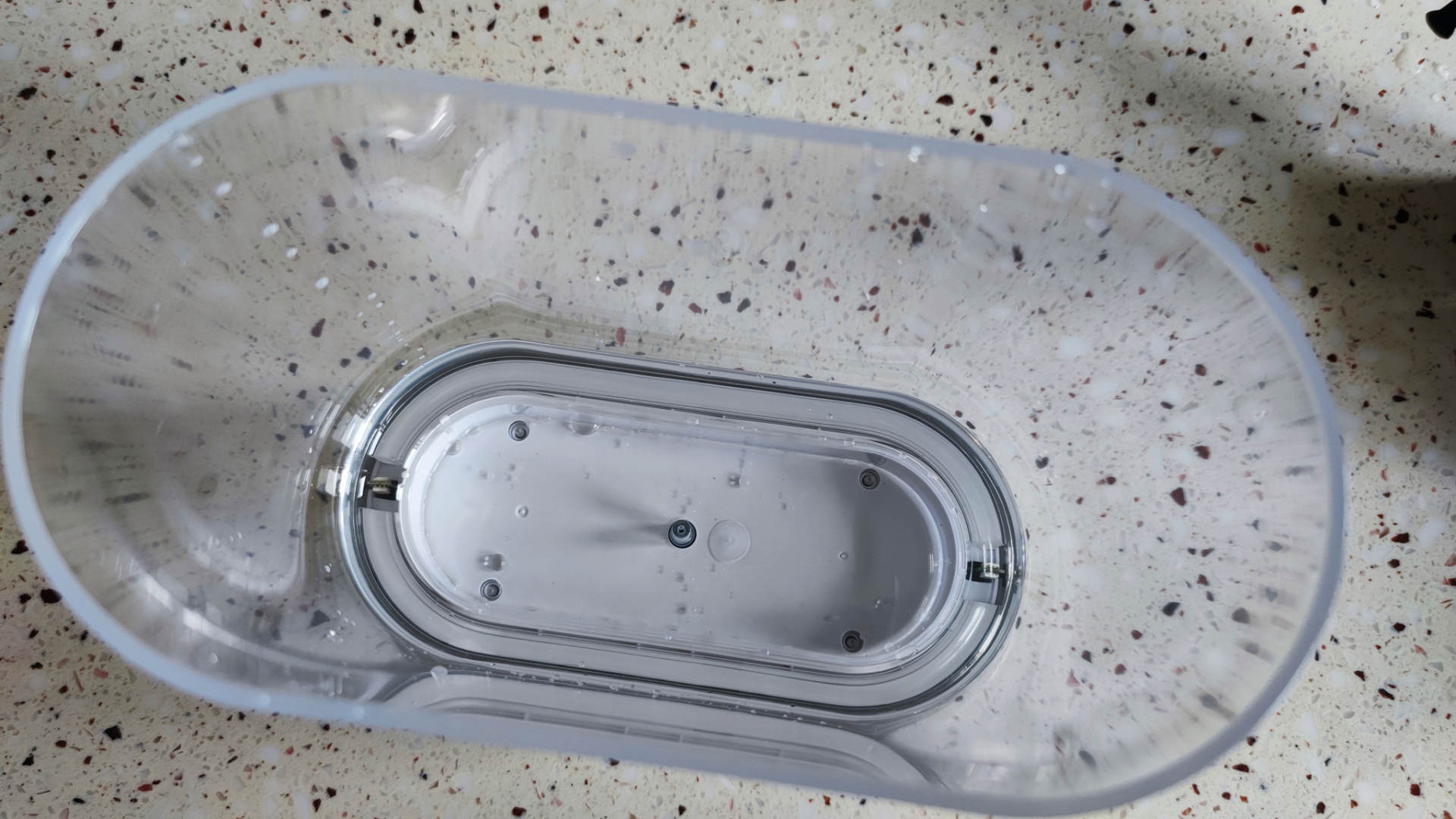 透明小型鱼缸可以养鱼吗,小型鱼缸养鱼知识