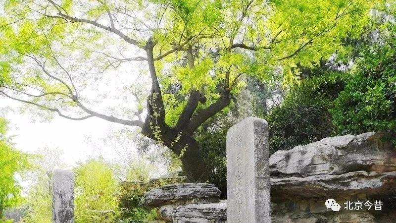 有关祖国的小知识,关于祖国的小知识有哪些