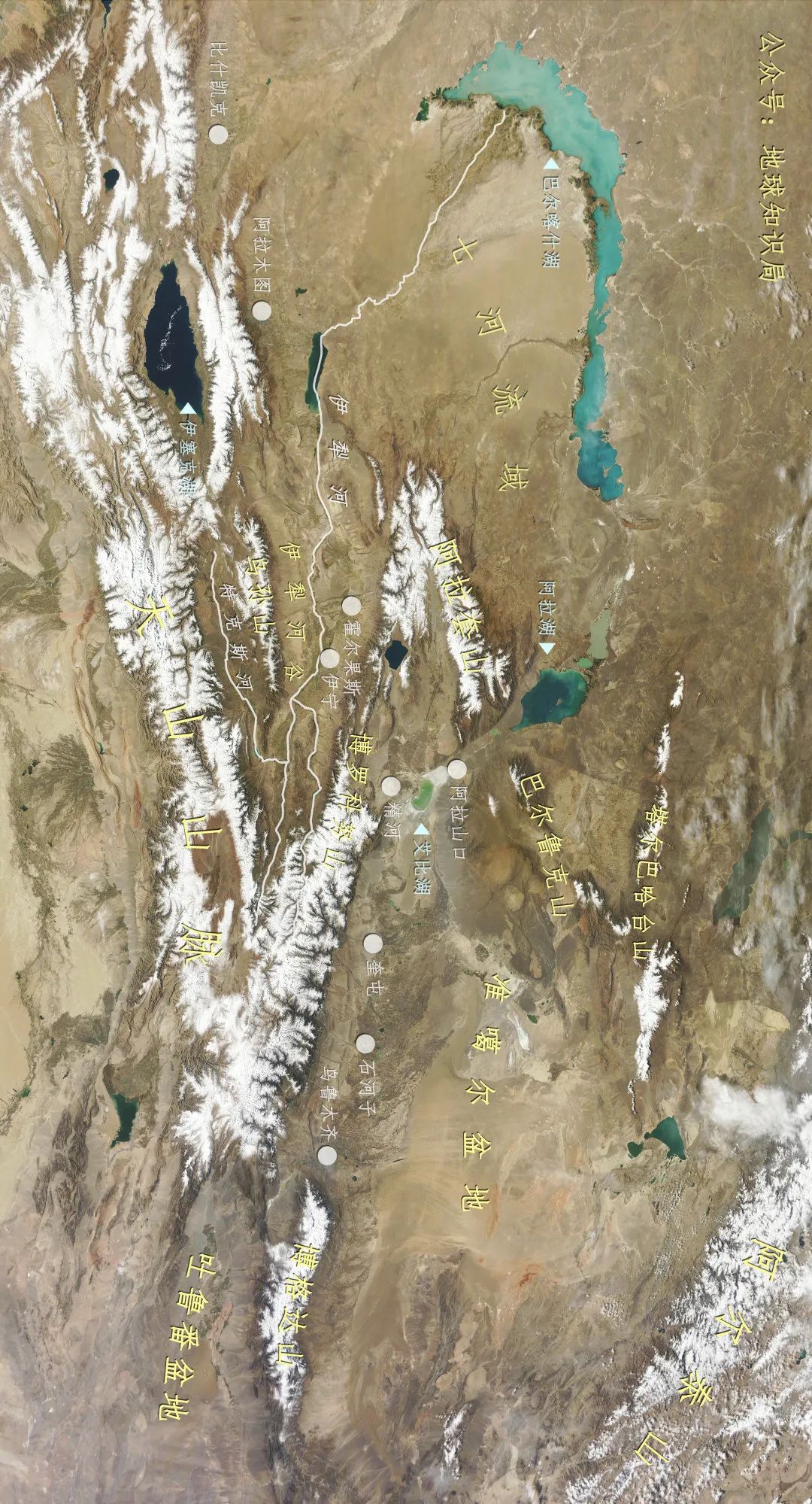 谁在保护金丝猴,谁在保护北极熊