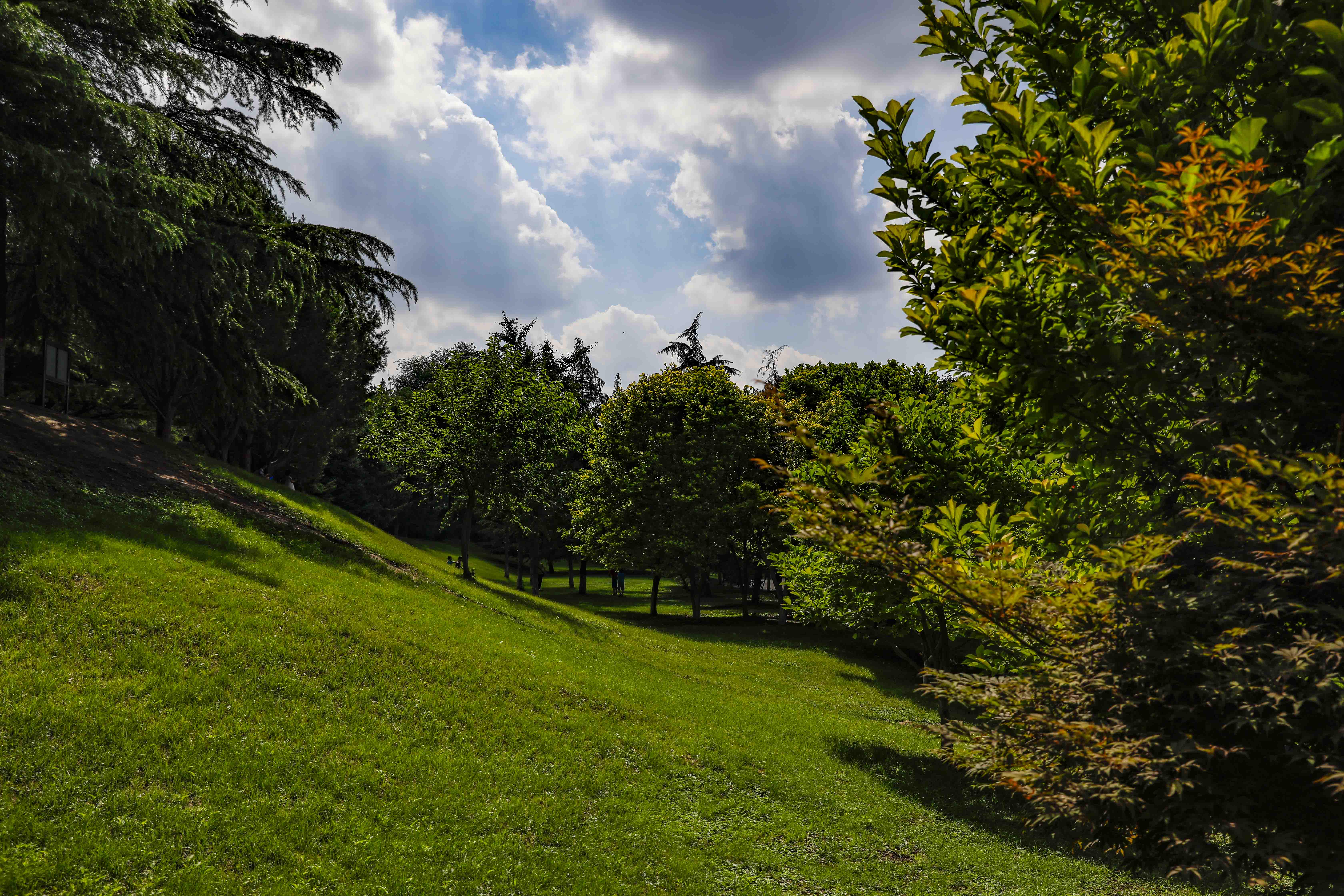 青州夏季一日游的好地方,青州周末旅游攻略