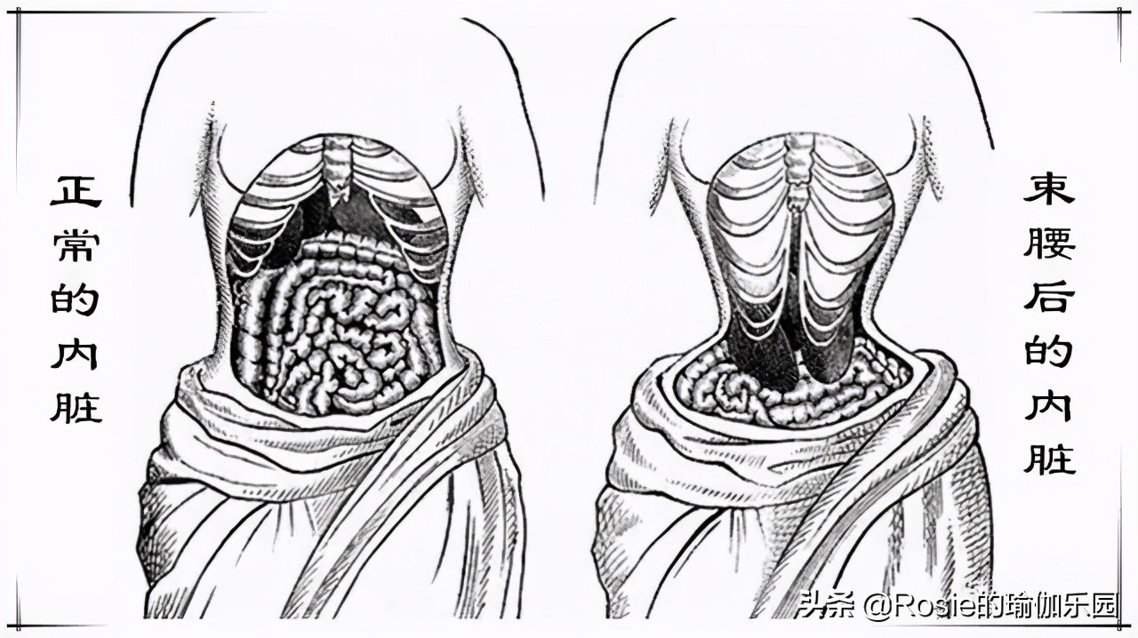 眼馋陈卓璇巴掌腰，竟靠束腰勒小腰？做对一个动作一周瘦出小蛮腰