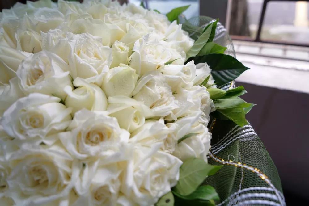 香槟玫瑰花语是什么,十一朵粉色玫瑰花语