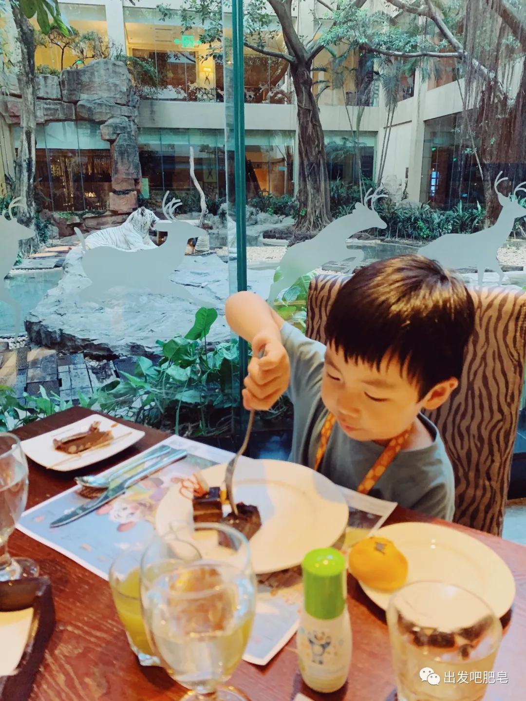 长隆飞鸟乐园长隆熊猫酒店怎么选,周一长隆野生动物园游玩攻略