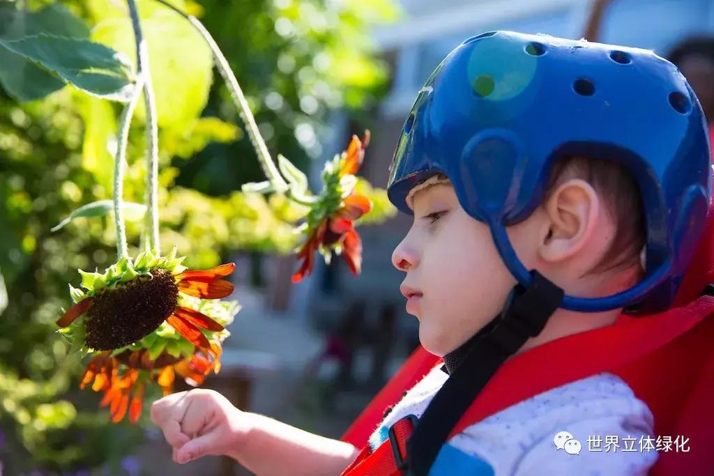 为什么园艺疗法能快速发展,园艺疗法的应用领域