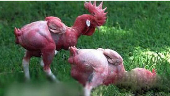 那些震惊世界的谣言,忽悠一代人的十大谣言