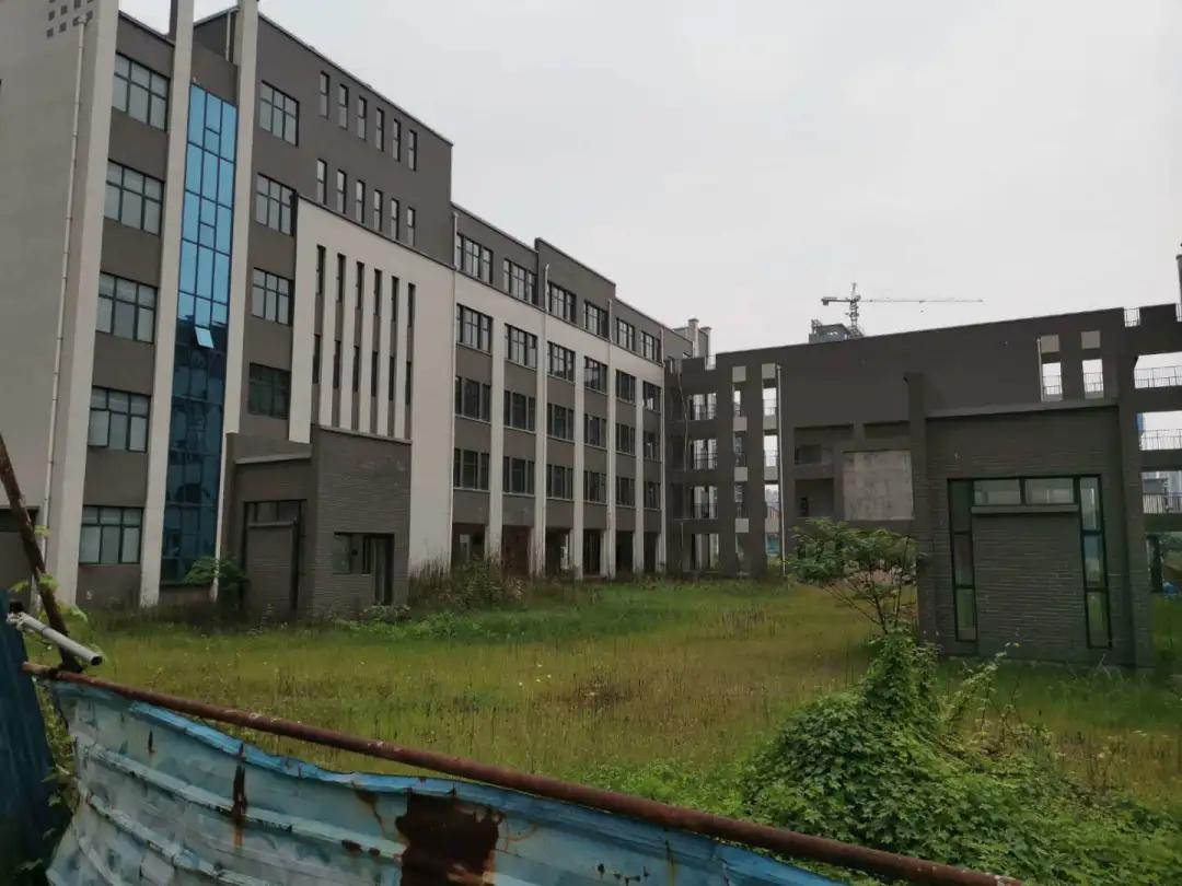 吉安各楼盘附近学校,吉安8中分校学区房