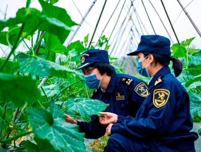 公务员制服最好看的单位,最帅公务员制服