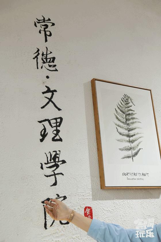 常德高校周边美食，10块钱喂饱你的青春