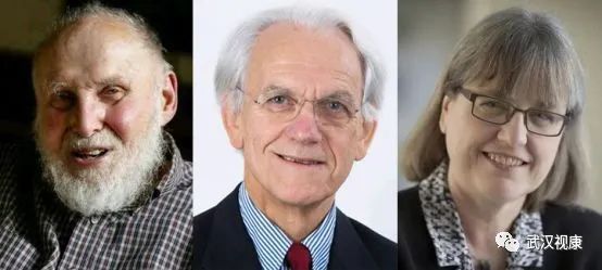 近视眼手术的发展史动画,近视眼手术发展史图片