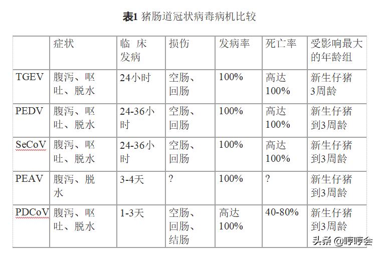 猪德尔塔冠状病毒怎么治疗,猪肠道冠状病毒