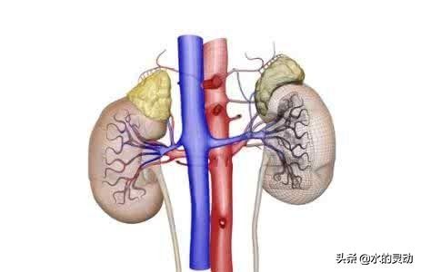 女性月经提前什么原因造成的,女性月经提前是什么原因