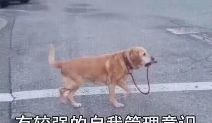 真实测评素颜霜哪种好用,十几块钱素颜霜真的好用吗