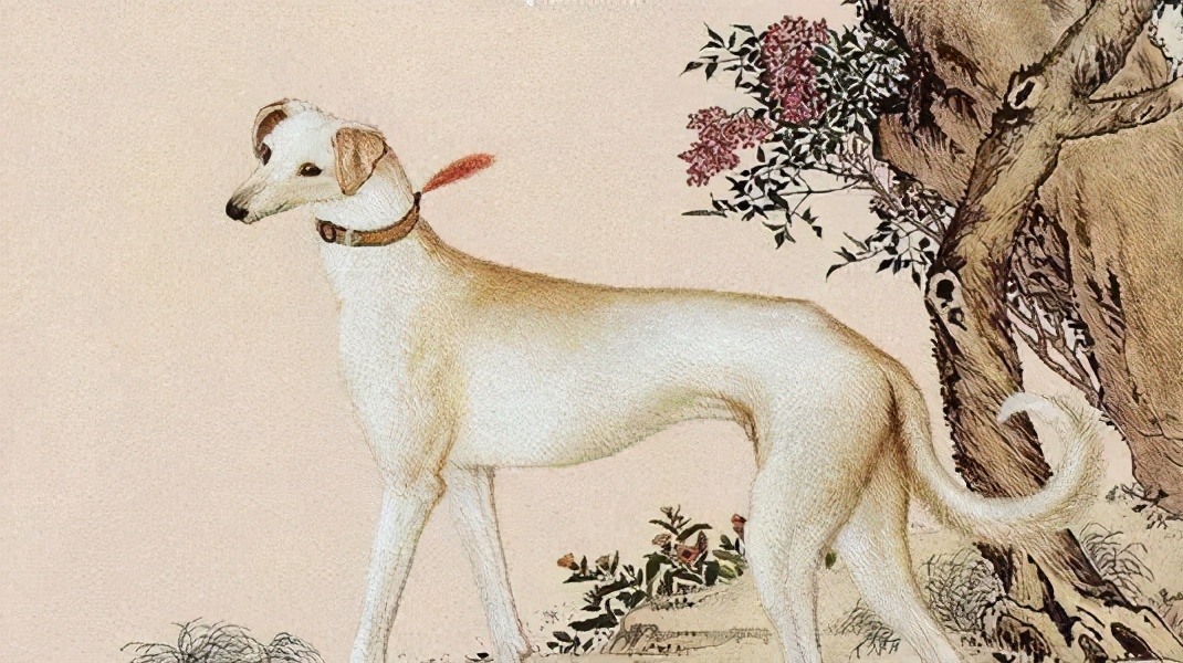 聊斋志异的1-9卷阅读笔记,聊斋志异第1章读后感