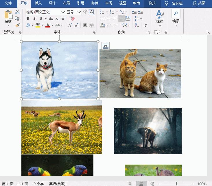 word表格调整图片大小按f4无效,wordf4重复上一步在哪里设置