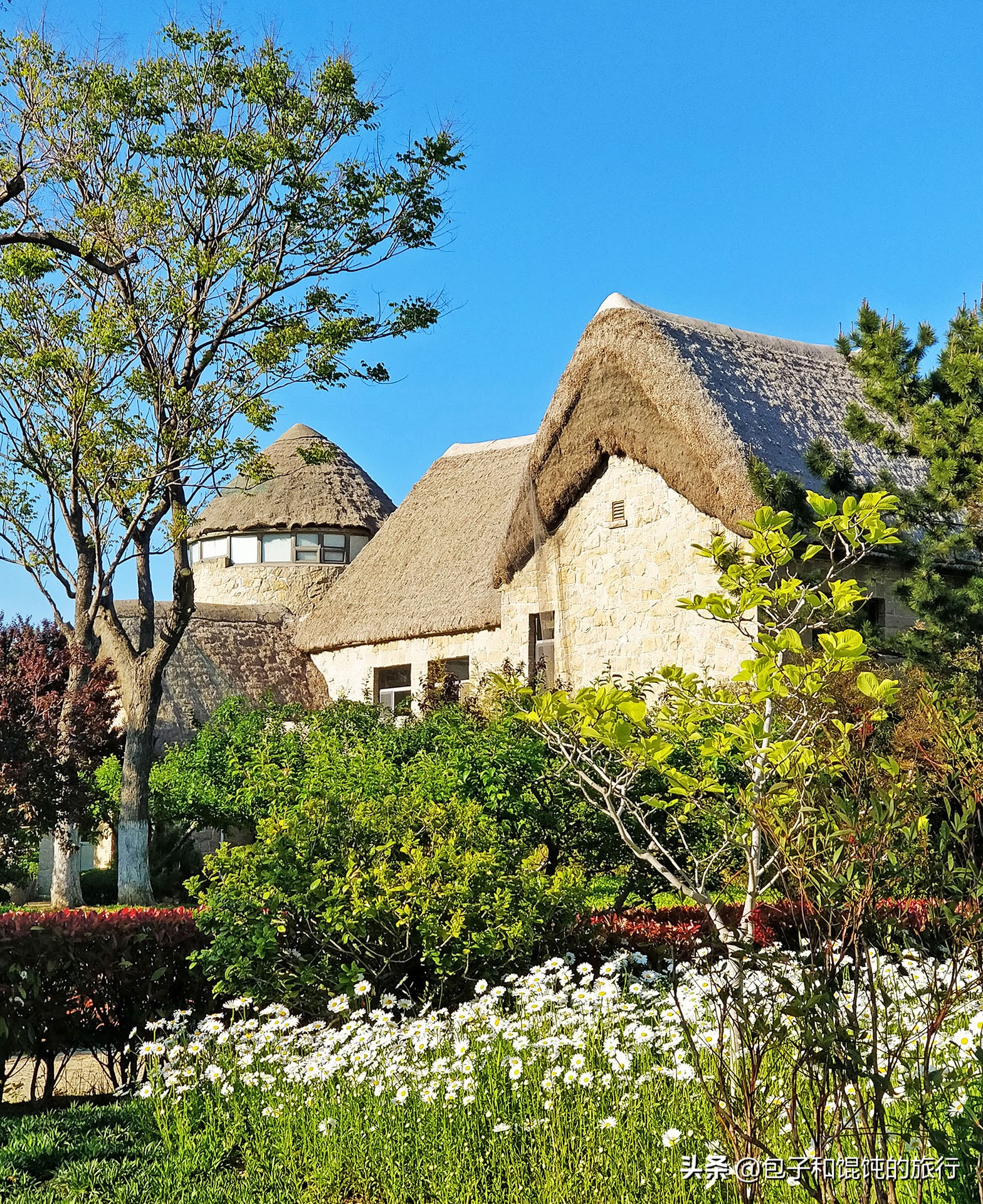 移居威海南海新区真实生活经历,移居威海北京人