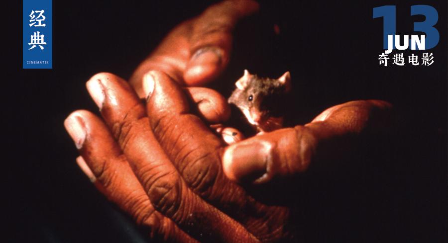 豆瓣平均评分8.8的8部神作,豆瓣8.8高分0差评神片