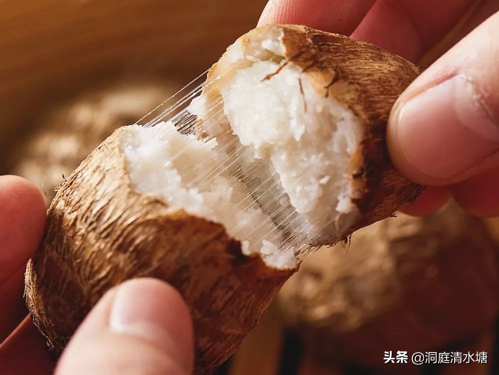 哪里的牛奶芋头最好吃,肉质洁白脆韧