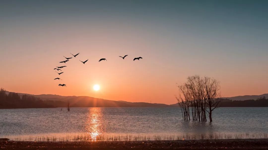 8个适合一个人去旅行的旅游圣地,一个人去的人少景美的小众旅行地