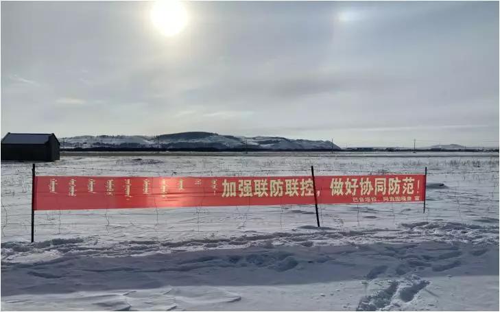 抗疫一线的青年榜样,疫情防控期间典型榜样人物