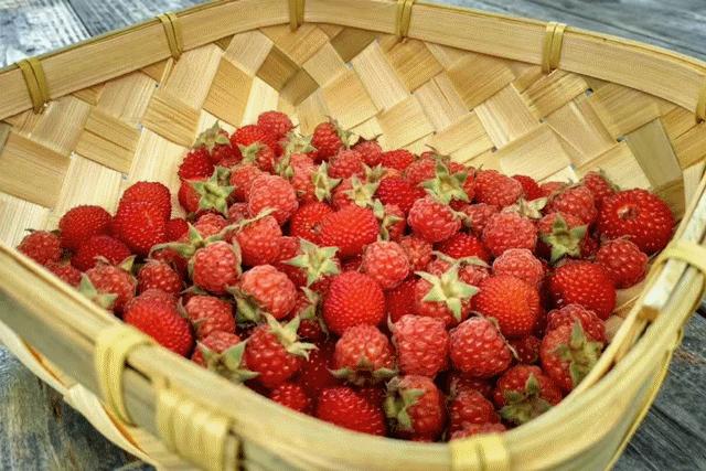 邂逅秋天的千岛湖!光看图已美醉,住这7家美宿避开人群赏湖景山色