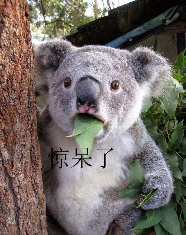 别再被忽悠了神剧,十大网红产品个个是坑劝你别买