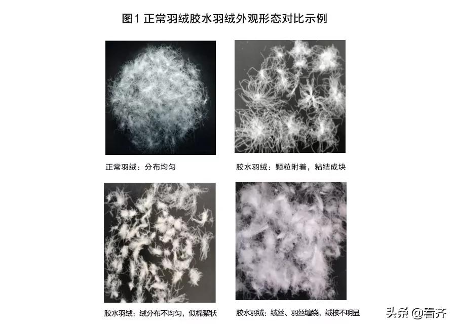 「齐齐哈尔关注」1500多元一件的“狼爪”用胶水绒?多个大品牌检测都不合格