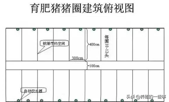 农村如何建造现代化养猪场,农村养猪怎样建简单猪场