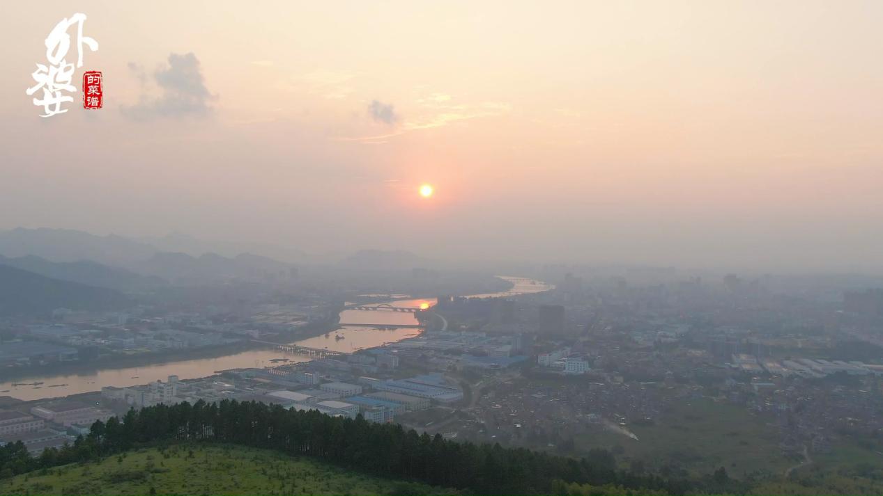 山上哪种树叶能做豆腐吃,山豆腐用什么树叶做的