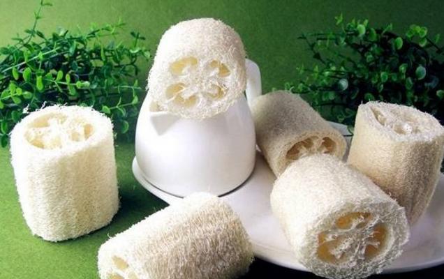 丝瓜养花,老丝瓜有什么用