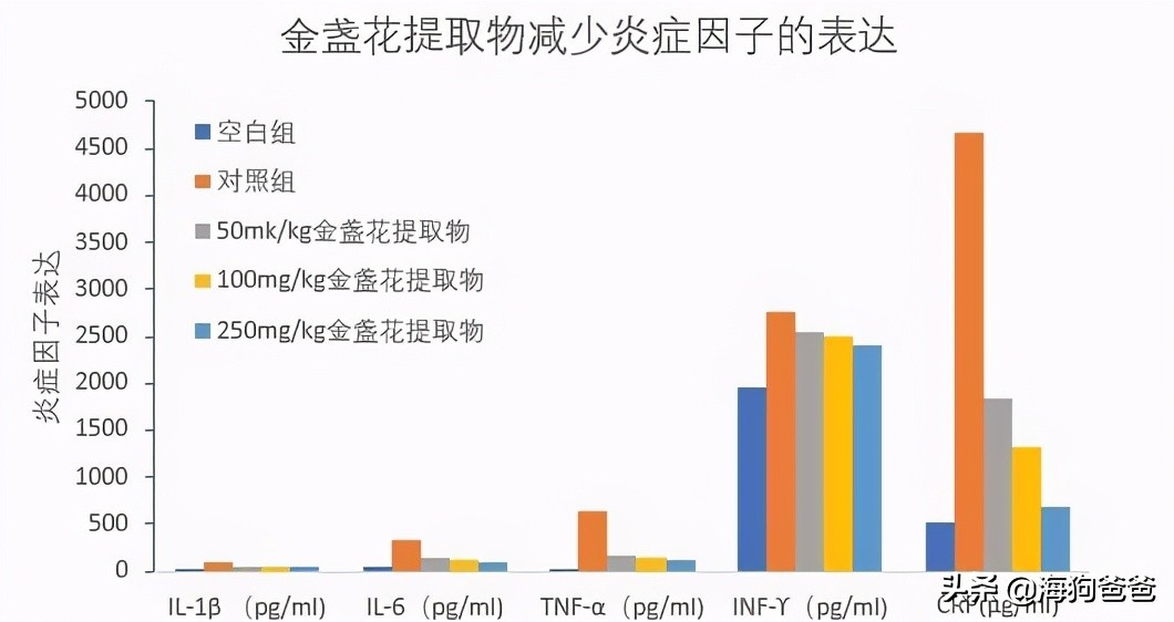 春天美容护肤,春季护肤小妙招大全