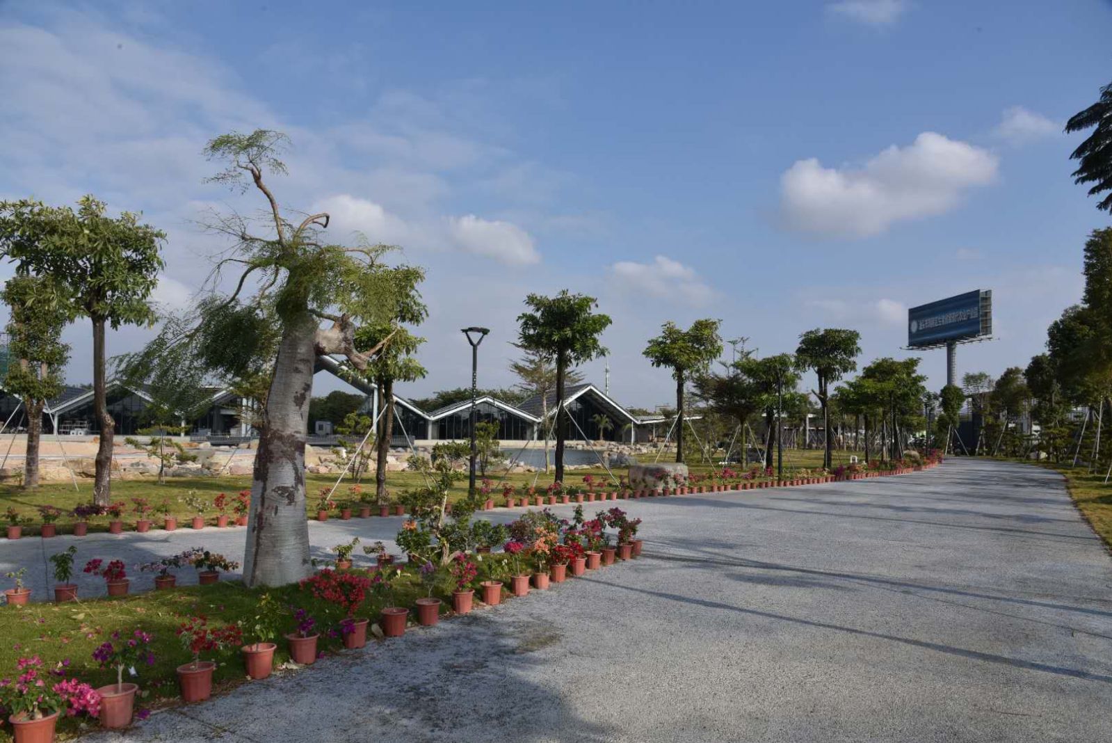 潮南区|智能农场养出“生态猪”，带动近千户农户增效增收