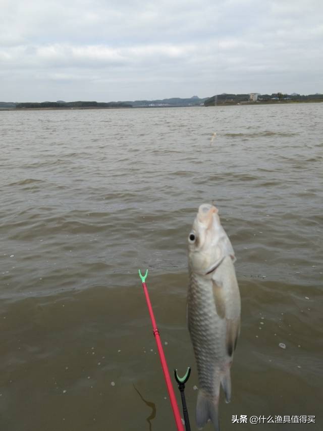 冬天钓鲫鱼小综合鱼竿,寒潮大风天钓鱼