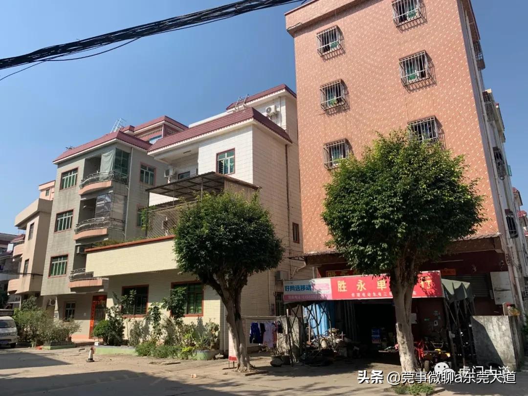 东莞福地旧改,东莞运河城旧改