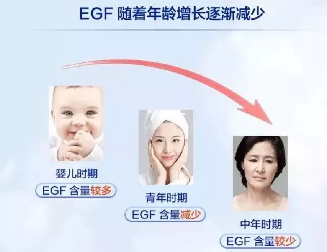 干粉冷冻,冷冻干粉的作用和功效