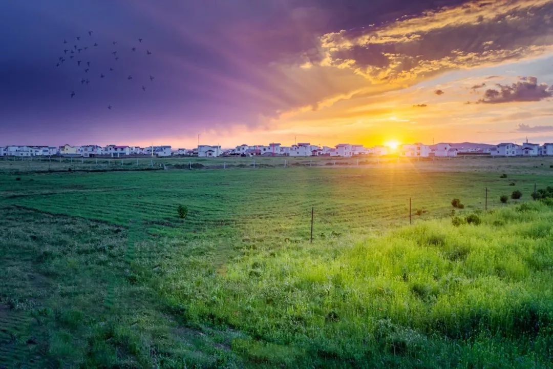 川西若尔盖草原，7月迎来颜值巅峰，温度不到20℃！避暑走起