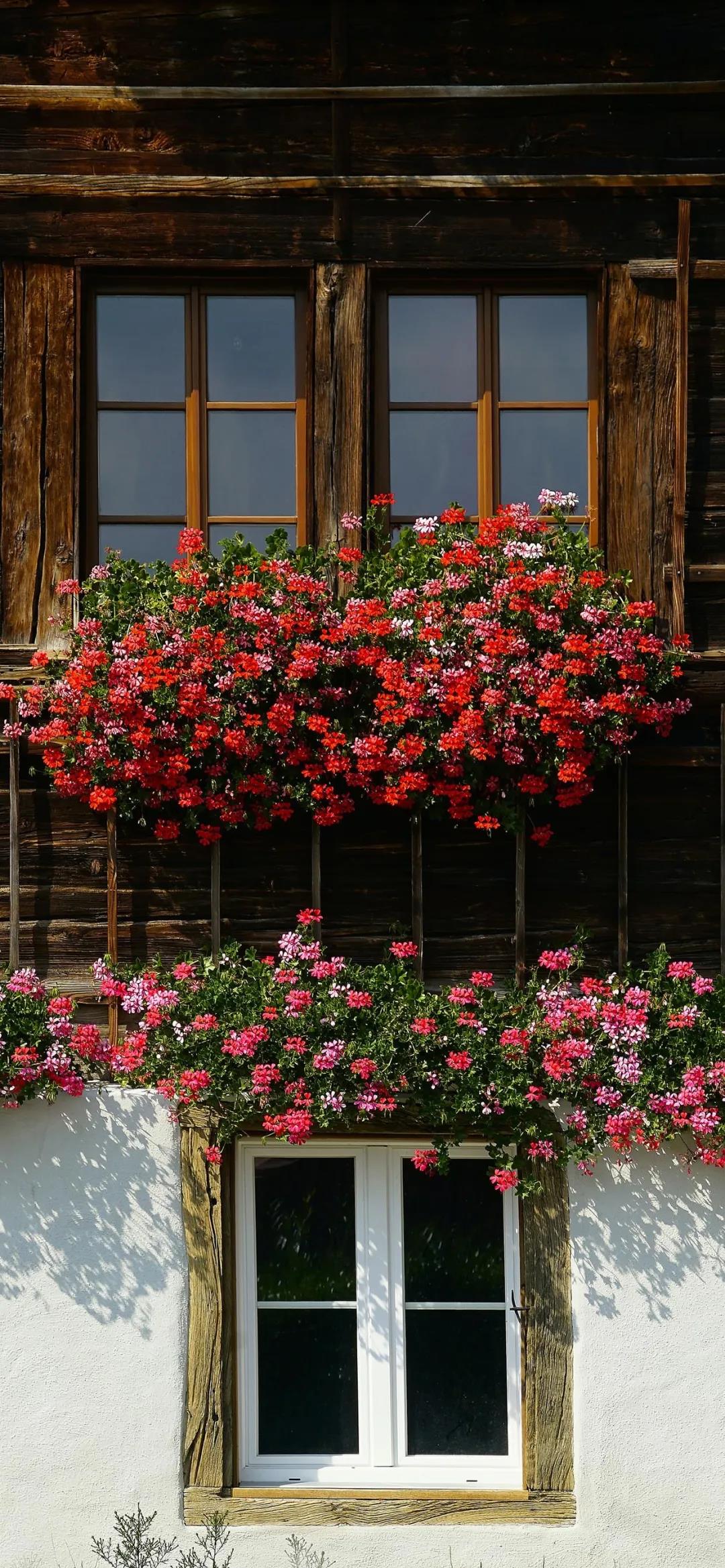 我爱中国人民警察壁纸,我爱壁纸