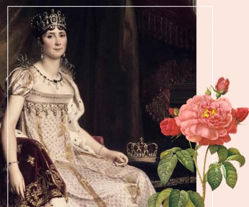 法国婕珞芙蔷薇王妃面膜,婕珞芙王妃面膜测评