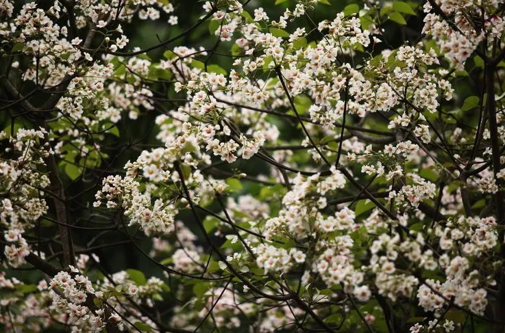 五一放假去哪里旅游比较好,五一小长假去哪里玩比较好一点