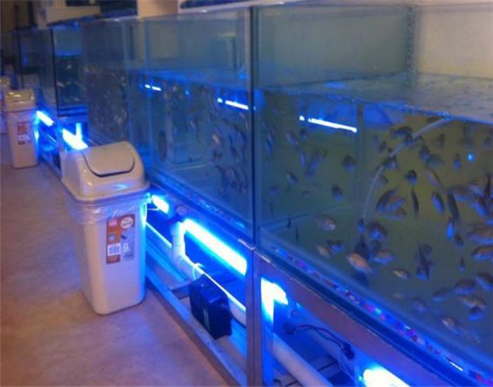 男子做鱼疗5分钟后鱼却全死了,鱼疗赔偿