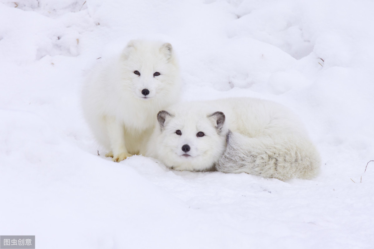 打破成见与自我努力,打破偏见认识自己
