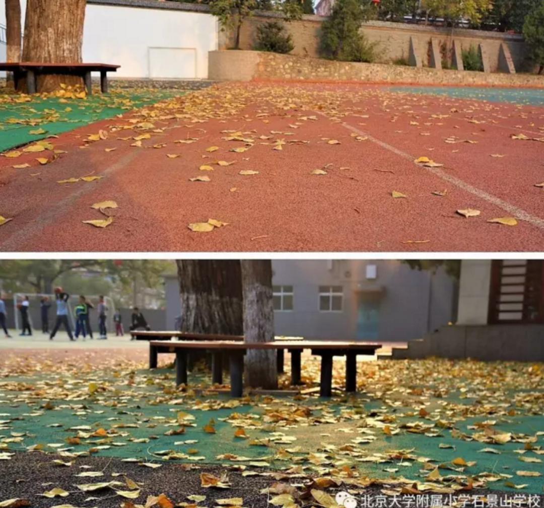 北京所有小学排名一览表,北京30所小学排名一览表