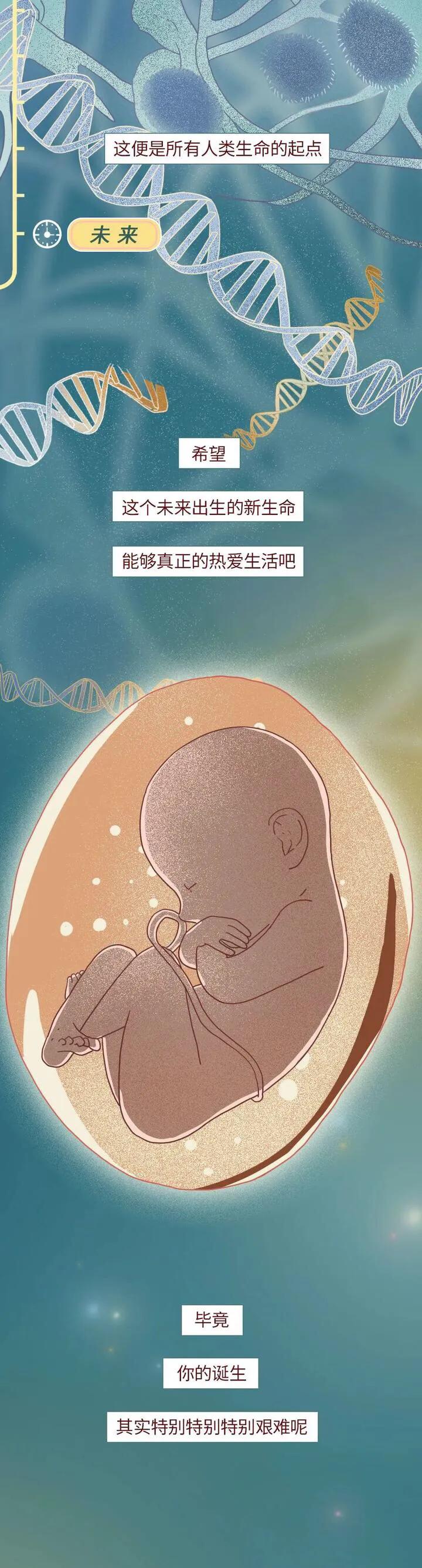 绮惧瓙杩涘叆浜轰綋1灏忔椂鍙樺寲,绮惧瓙杩涘叆浜轰綋48灏忔椂鍙樺寲