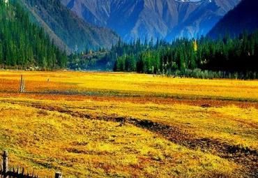 想带你去欣赏秋季的童话——甘海子