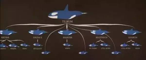 每个生命都值得被虐待,任何生命都不该被虐待