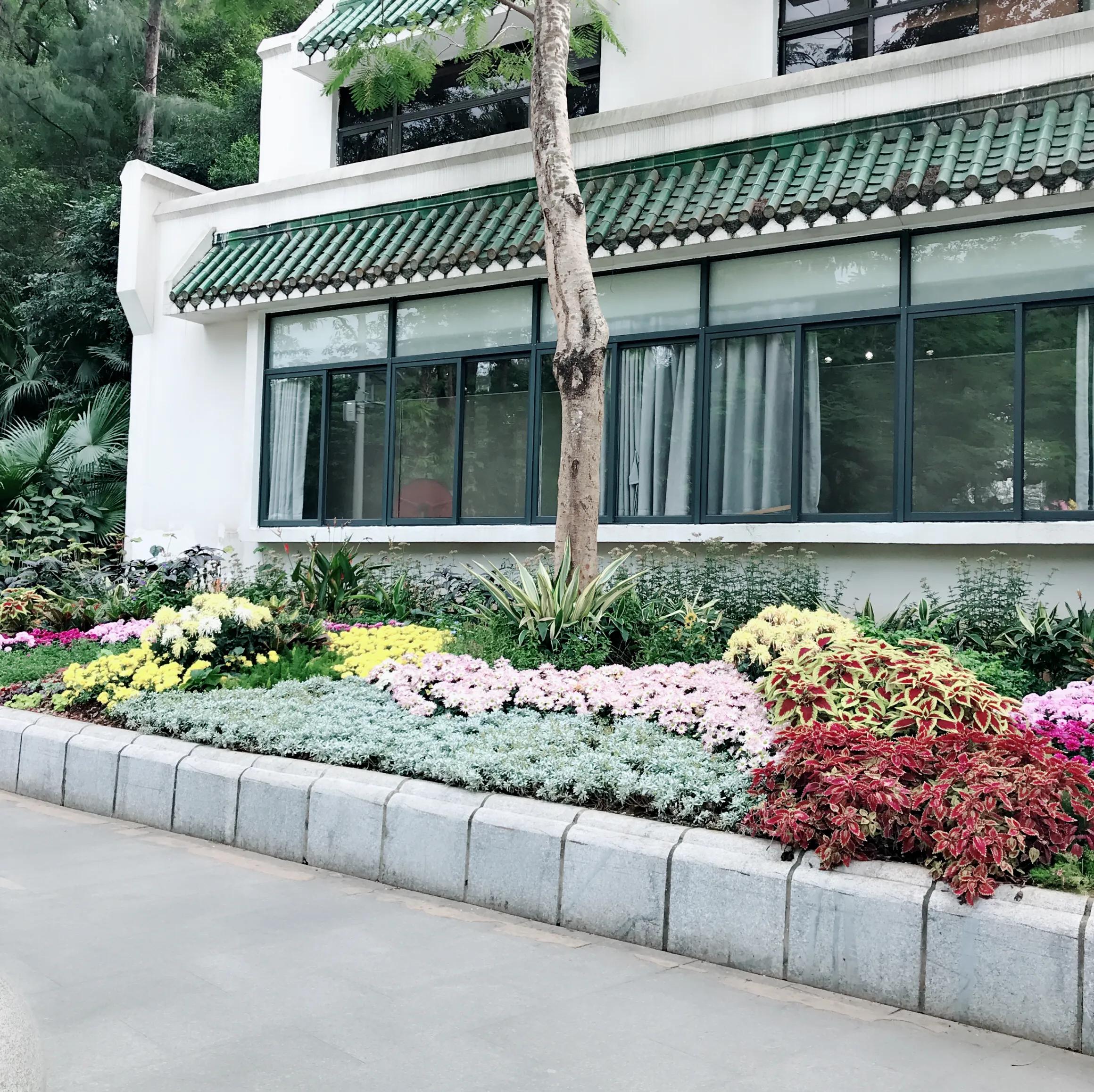 閬涘▋濂藉幓澶勮強鑺卞睍,娣卞湷閬涘▋鐪嬪睍