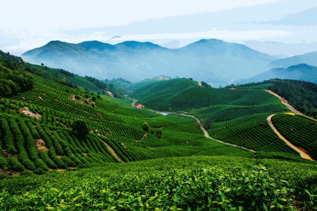 欢呼！余杭9条精品旅游线出炉！瓶窑、塘栖、中泰...太惊艳了！