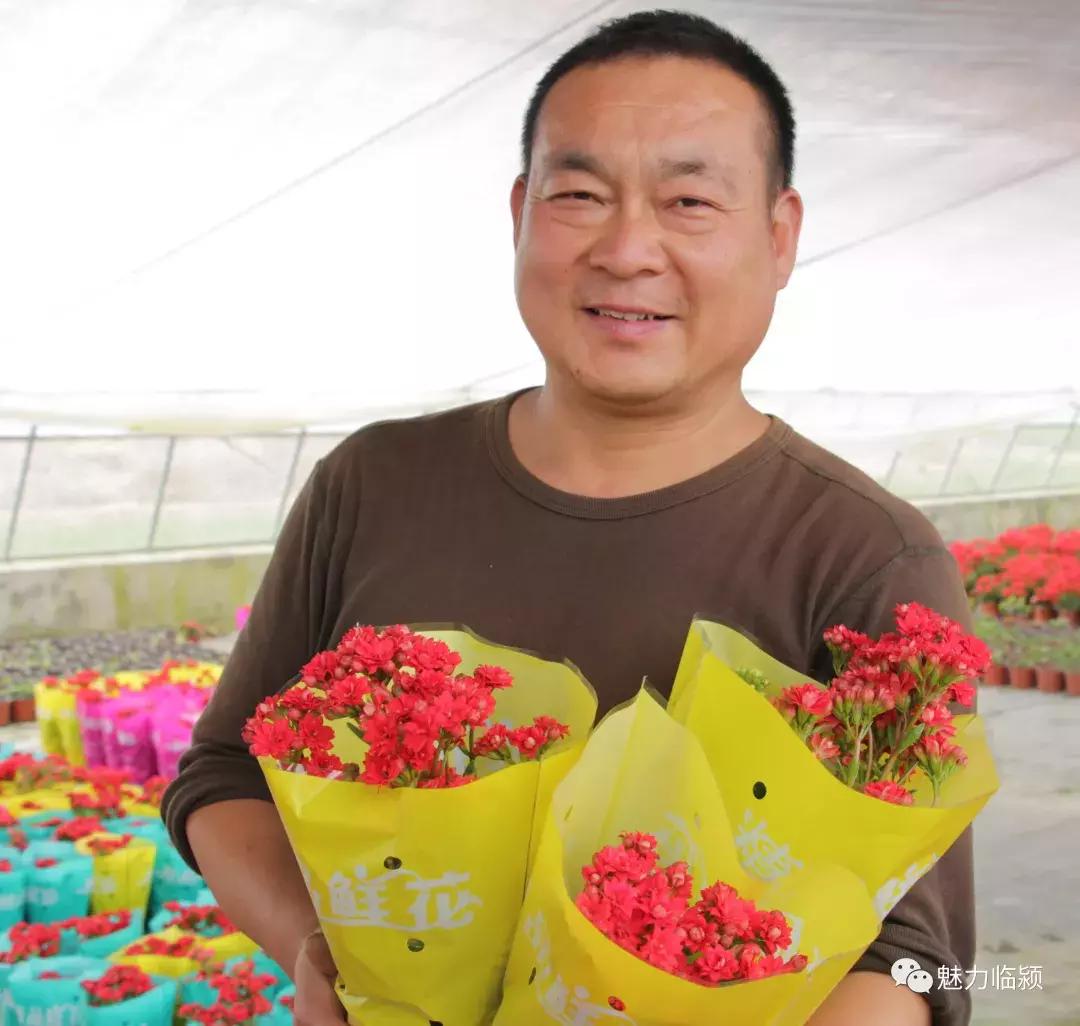 临颍：尚纪安计划5年把刘庄打造成河南最大的花卉种植交易基地